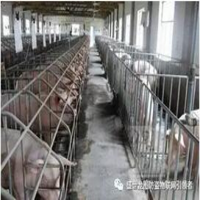 養(yǎng)殖業(yè)中的RFID技術解決方案